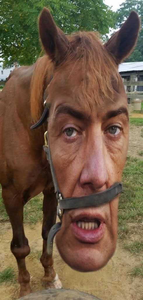 adam bajcy (@retusz) on Twitter photo <a href="/GiertychRoman/">Roman Giertych</a> Lordzie Polnordzie, zapewne nie Słyszał Pan, że w tej ustawie przemycono wiatraczki pod oknami?
Nie zrobicie nas w konia.
Z pozdrowieniami - Yeeha!
Grafika <a href="/Supermeming/">Supermeming</a> <a href="/GiertychRoman/">Roman Giertych</a> Lordzie Polnordzie, zapewne nie Słyszał Pan, że w tej ustawie przemycono wiatraczki pod oknami?
Nie zrobicie nas w konia.
Z pozdrowieniami - Yeeha!
Grafika <a href="/Supermeming/">Supermeming</a>