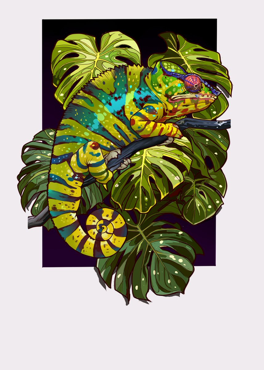 Chameleon