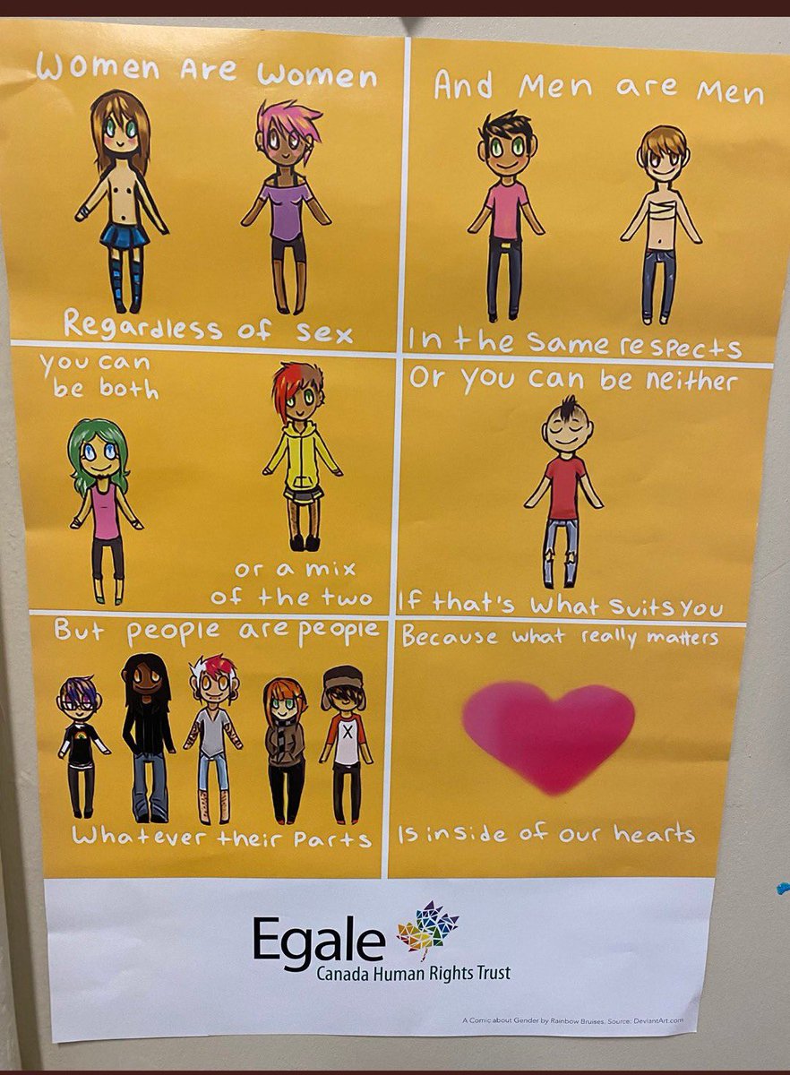 _CryMiaRiver's tweet image. In the coming years, every country that allowed this deranged, flat-earth level insanity to be taught to children as if it’s scientific fact must launch national inquiries to understand how an extremist political movement managed to override all child safeguarding measures.