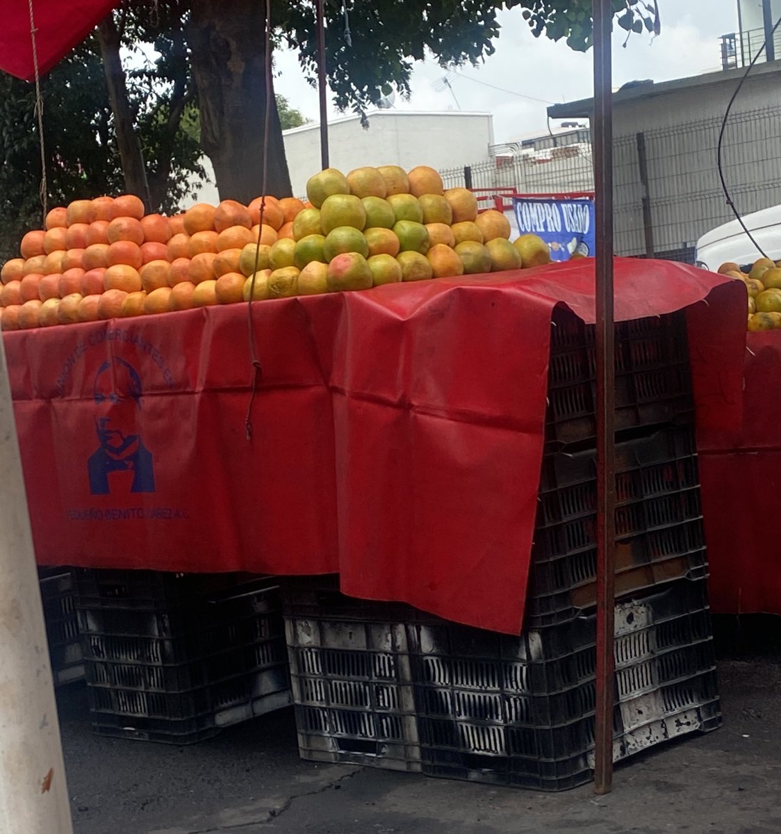 Polly3_'s tweet photo. Vine al mercado a pensar cosas https://t.co/mIbwZFD0As