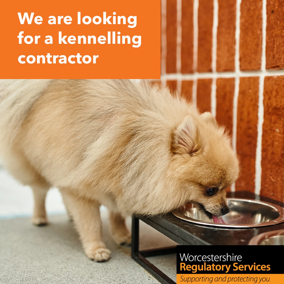 Redditch Council tweet media