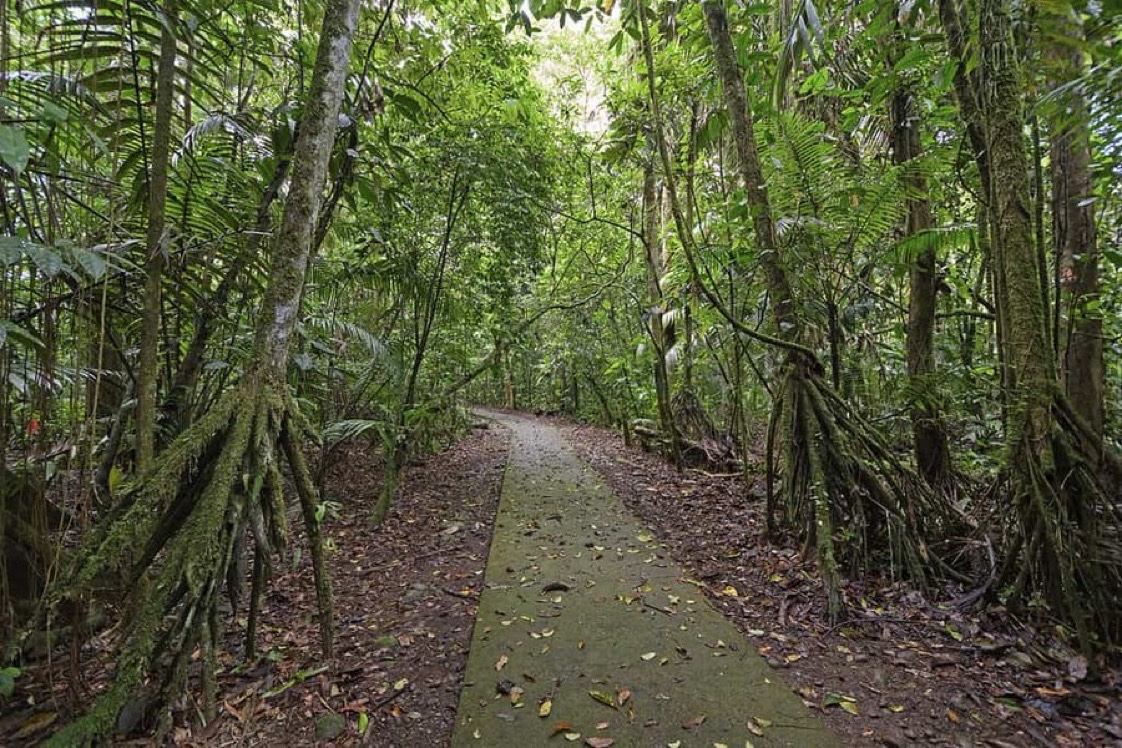 Can you walk alone at night for 50 million??