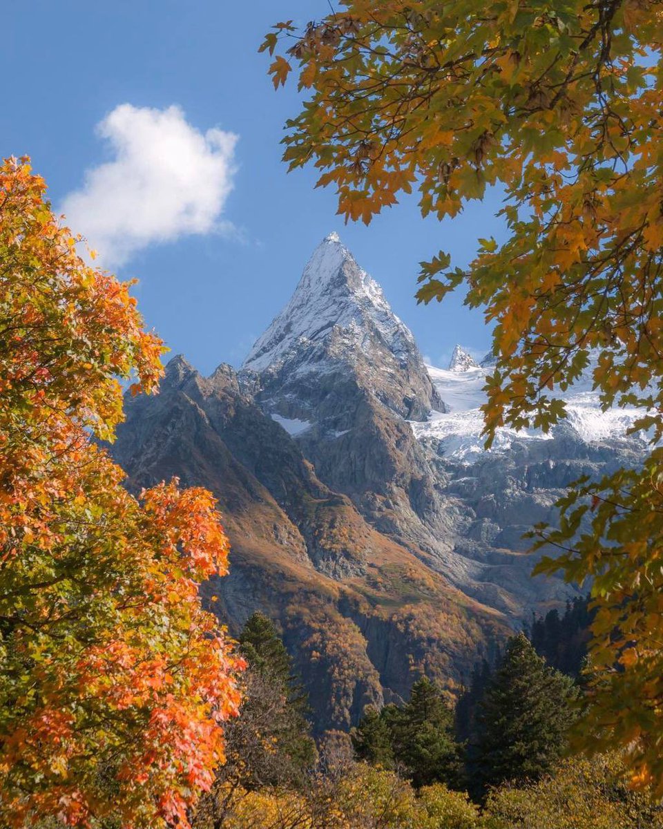 Прошлый аккаунт, который вел 5 лет, удалили. Хохлы и либеральные аутисты накидали жалоб. Но русские не сдаются !