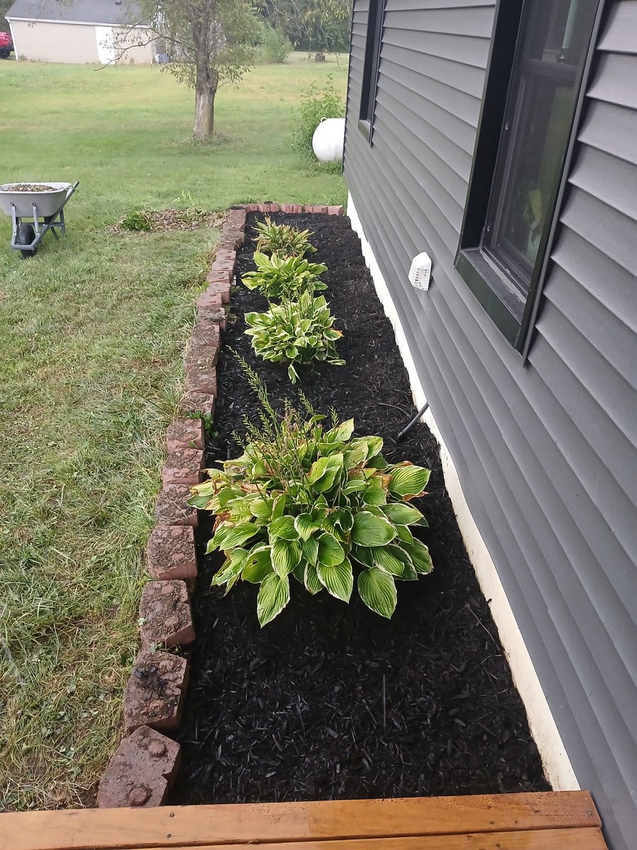 Outlandish Outdoors LLC tweet media