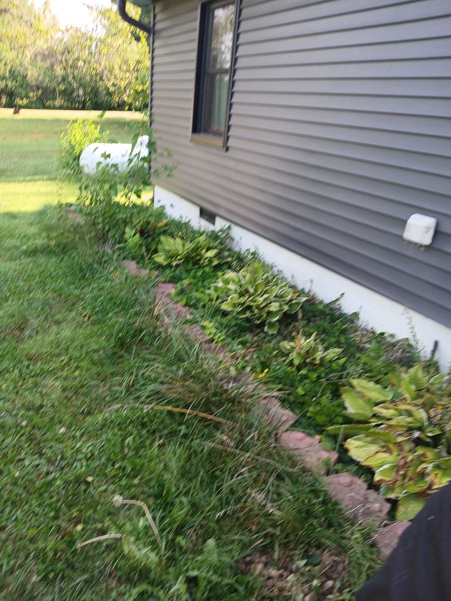 Outlandish Outdoors LLC tweet media