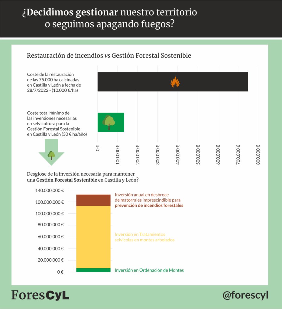 forescyl's tweet photo. Si prescindimos de la gestión no hay futuro para el monte 

Recuperamos este artículo publicado en nuestro portal en 2022, al comprobar que tres años después las cosas han cambiado poco: https://t.co/u2cjIkXe96

Porque con el fuego: perdemos todas y todos. https://t.co/nDjaa87uQ5
