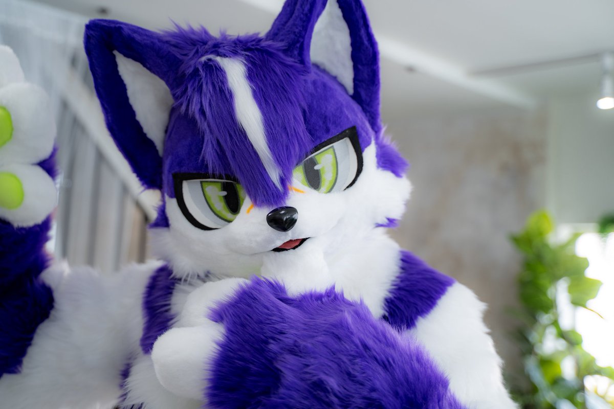 7秒見つめ合うと恋に落ちるらしいですよ
ボクのこと、もっと見て…？
#FursuitFriday
#ジェラ誕生会