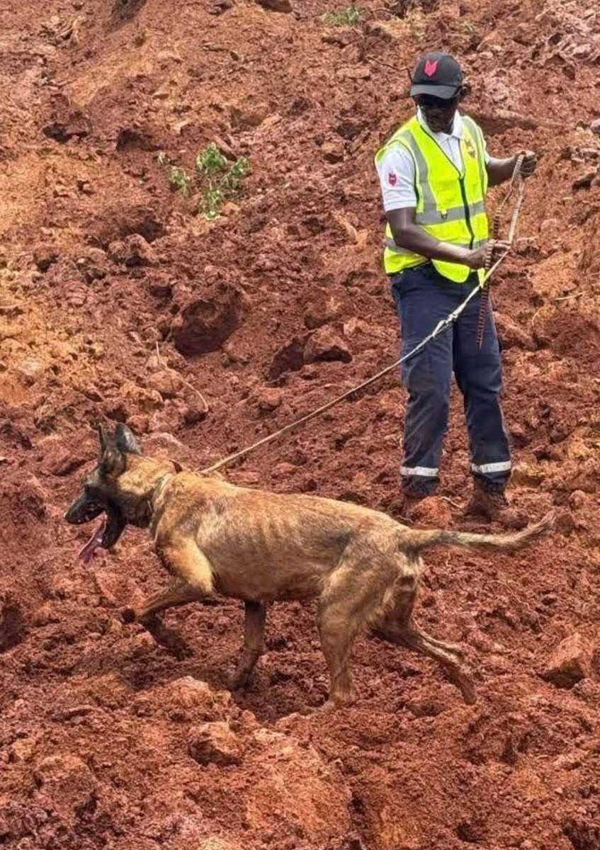 Sultan de Conakry tweet media