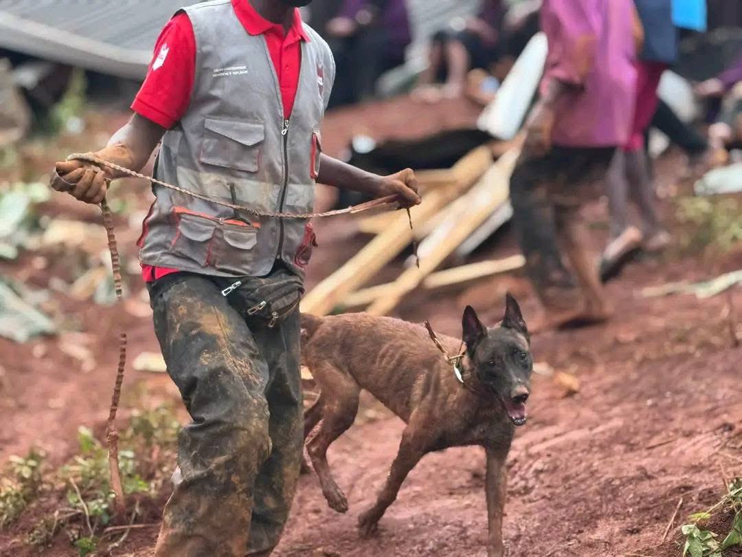 Sultan de Conakry tweet media