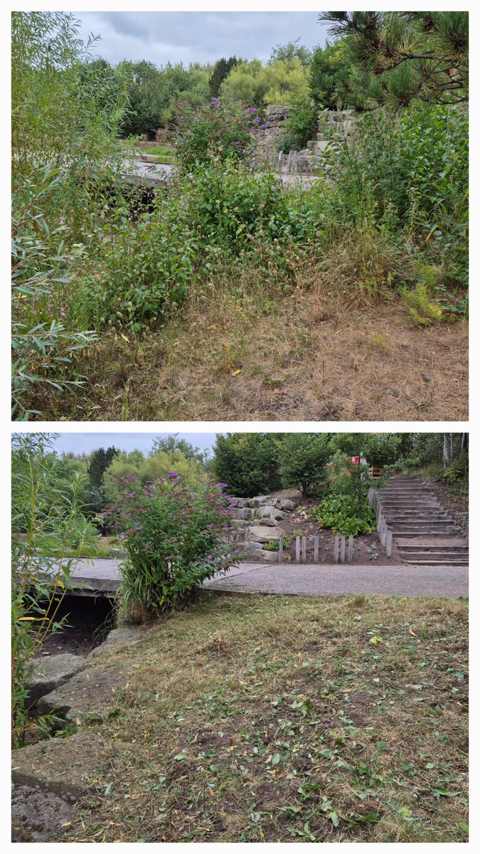 Friends of Festival Gardens tweet media