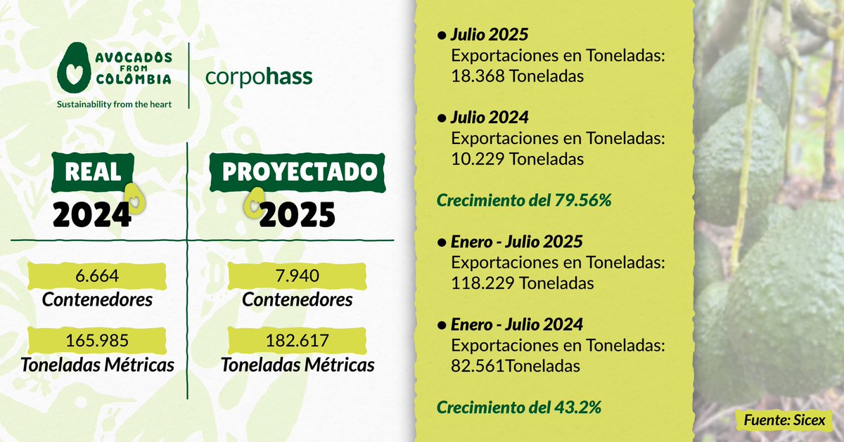 Corpohass tweet media