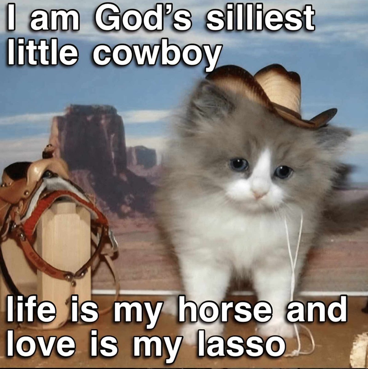 Ashar Nasir Malik tweet media