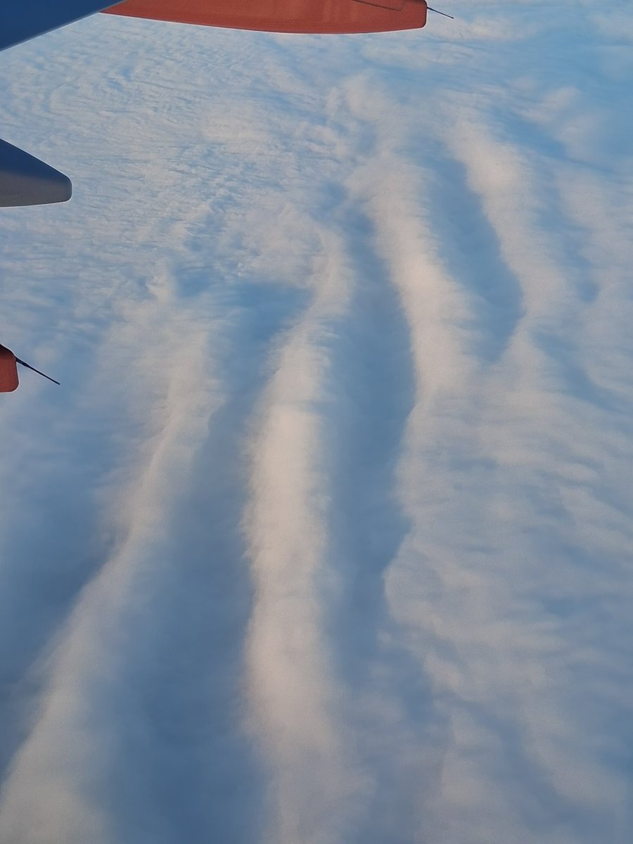 Bill Ward tweet media