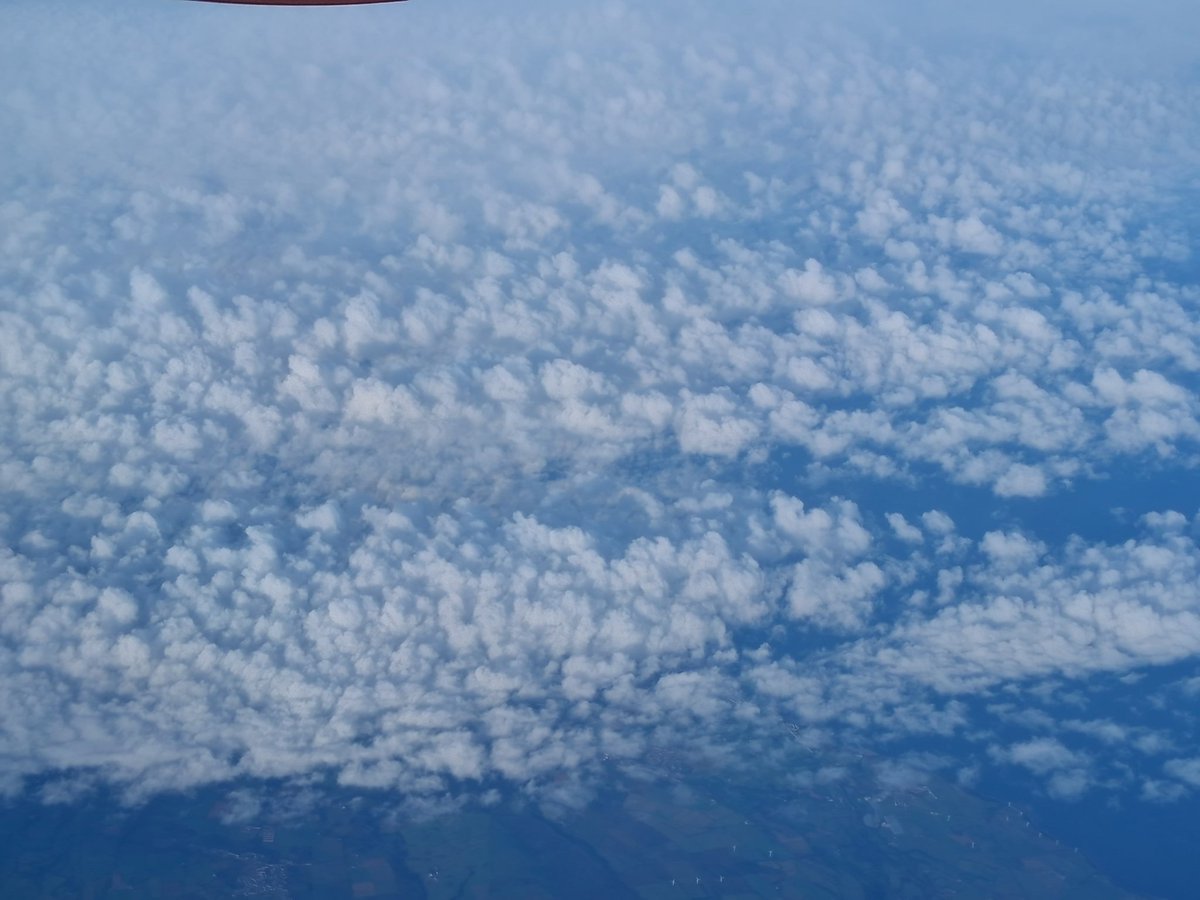 Bill Ward tweet media