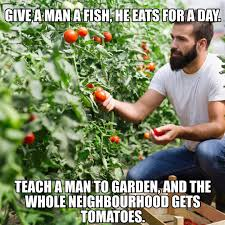 Humorous meme about teaching a man to garden and getting tomatoes for the neighborhood