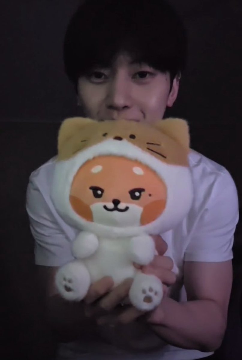 myseokryudan's tweet photo. matthew showing off 2 new unreleased thewnini dolls!!! sleeping angel thewnini and cat thewnini 🧡 https://t.co/zXmfsUokVh