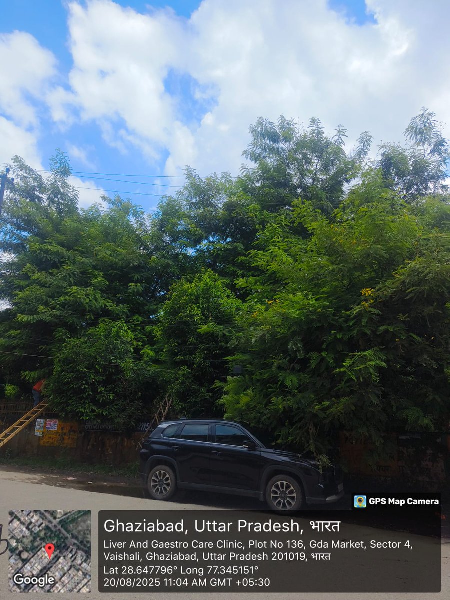 Tree trimming and chopping work in addition to damage pole replacement has been done for better electricity supply in sector 4 Vaishali and site 4 under EUDD 2 Ghaziabad
<a href="/pvvnlghaziabad/">PVVNL Ghaziabad</a>