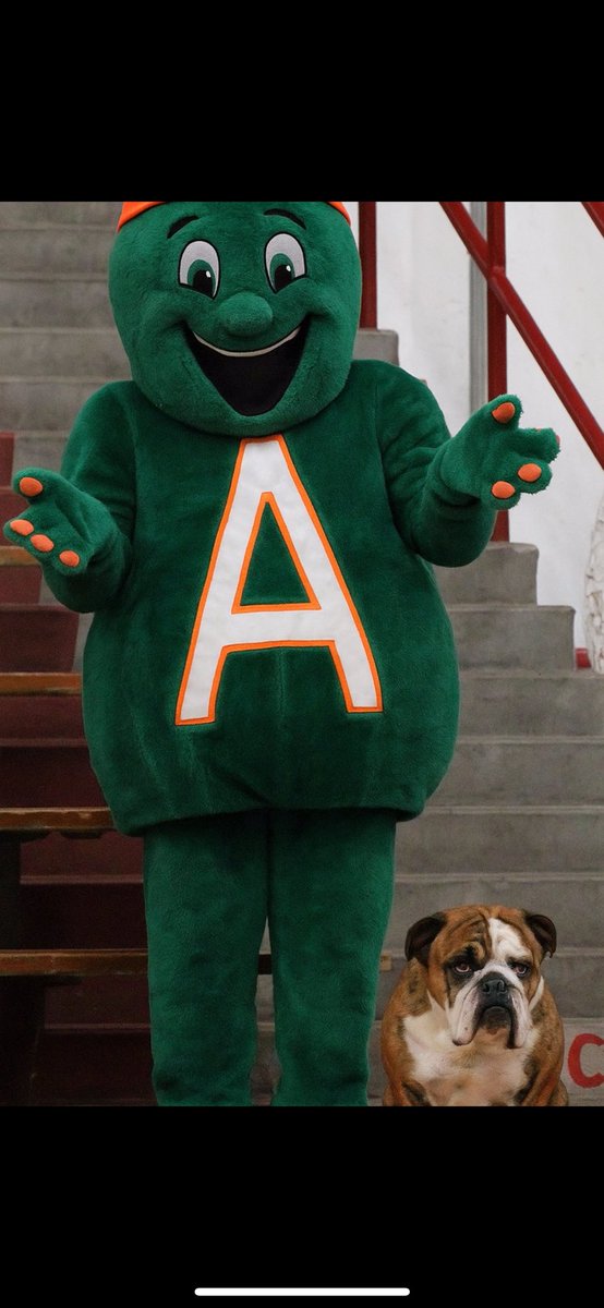 Alices Barstool tweet media