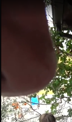 AngelicCabbagee's tweet photo. This appearence, was my absolute favorite part of the stream. I have been laughing for like 10 minutes.
#boatstream #lukedale https://t.co/g2sQ674dS8
