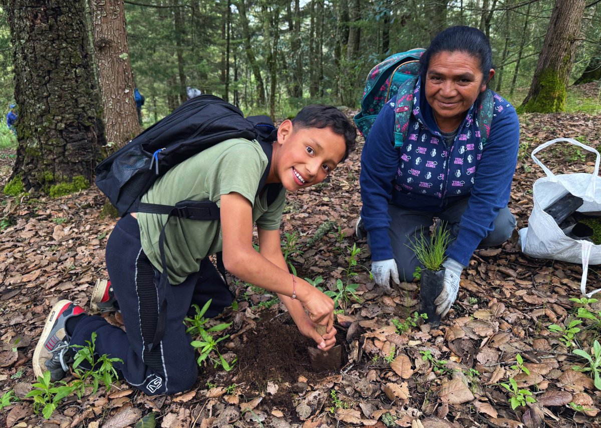 CooperStandard's tweet photo. This month, our team in Atlacomulco, Mexico along with their families, got their hands dirty during their Annual Reforestation Day. Thanks to the valuable support of the Jocotitlán City Council, we planted a thousand trees in Xocotepetl Park, a natural space dedicated to preservation.

At Cooper Standard, we believe that sustainable actions are a big aspect of who we are. By getting involved in environmental initiatives, we continue to strengthen our commitment of a sustainable future, while creating a workplace where collaboration, active participation and social responsibility are part of our everyday life.

#WeAreCooperStandard #CooperStandardCares
