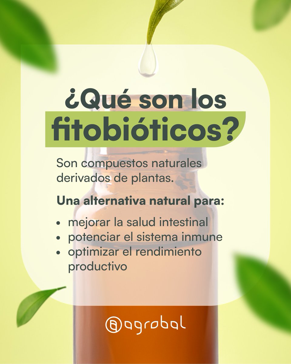 🌱Los fitobióticos son compuestos naturales que poseen acción antimicrobiana, antiinflamatoria y antioxidante.

En Agrobal aplicamos tecnología fitobiótica de última generación para cuidar la salud animal con eficacia.

¿Querés saber cuál usar? Escribinos.

#Fitobióticos
