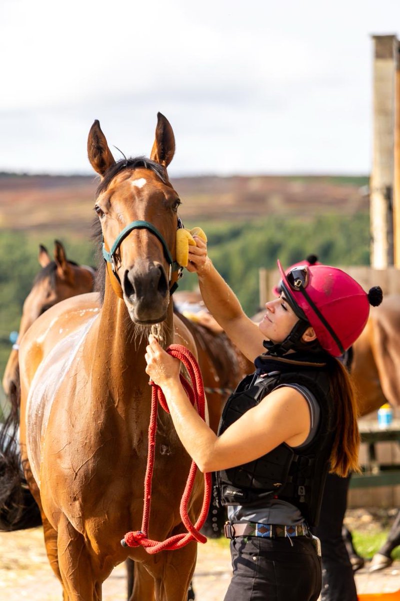 🚨One hour to go🚨

Good luck to all of our Ormolulu owners.

<a href="/GemmaTutty/">Gemma Tutty Racing</a>