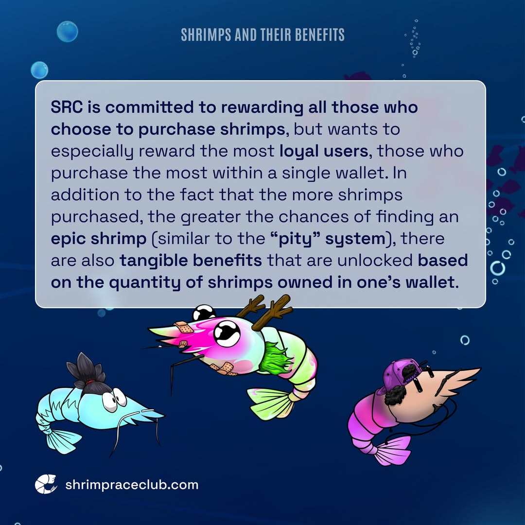 shrimpraceclub's tweet photo. In fact, this post will help us understand why we should buy and own a shrimp and what advantages it will unlock for us. https://t.co/0KAcdKam42