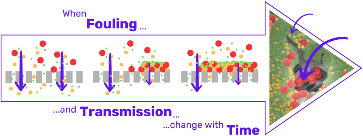1st Editor's Choice Article for the July issue from the group of Patrice Bacchin at the University of Toulouse
Modeling fouling kinetics for experiments with transmission varying during filtration
doi.org/10.1016/j.mems…

This paper presents a new model that incorporates species