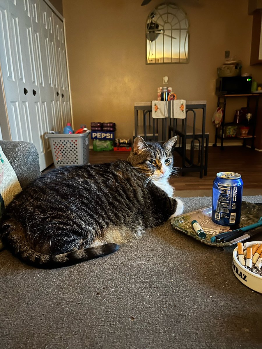 Had to put my sidekick down last night.