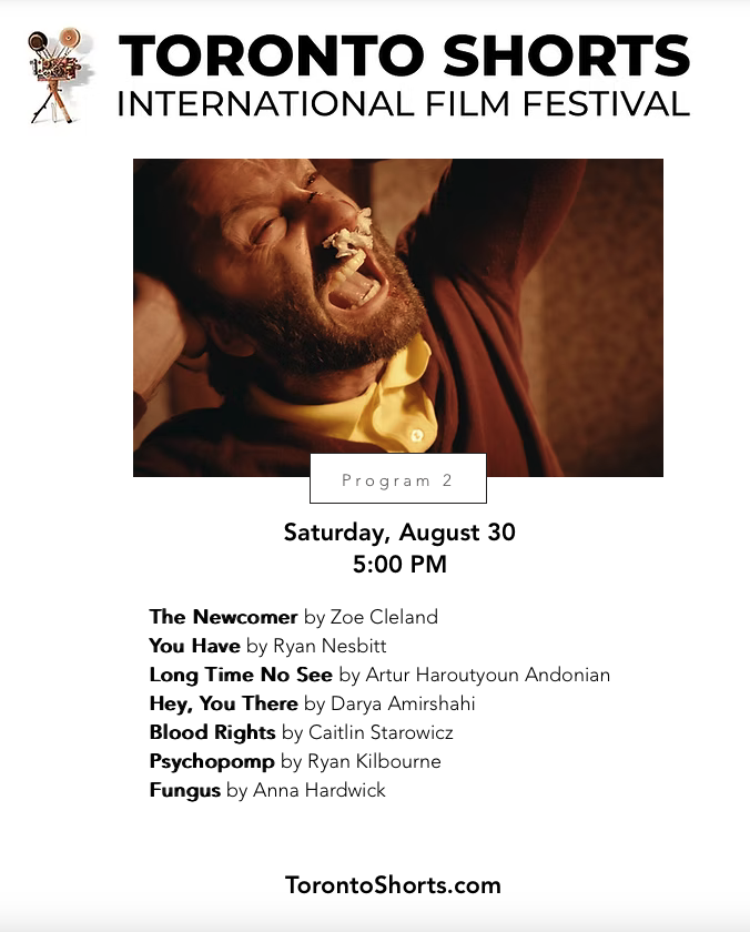 Toronto Shorts International Film Festival tweet media