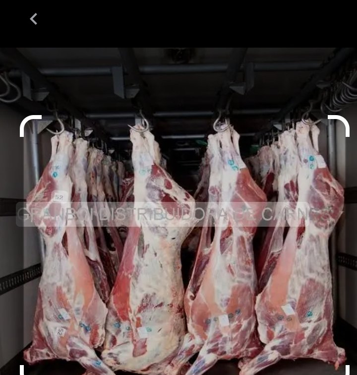 Good evening, beef is the best  meat so far. And is a good source of protein.
