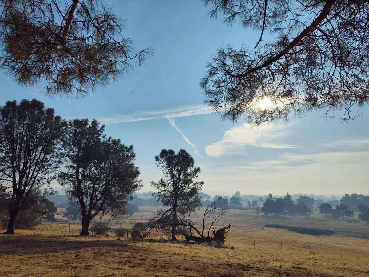 The valley we live in is filled with smoke from the Coyote wildfire east of us, but that doesn't mean they didn't give us a healthy dose of #chemtrails this morning. We've been largely given a break from the poisoning of our skies this summer, but not today.
