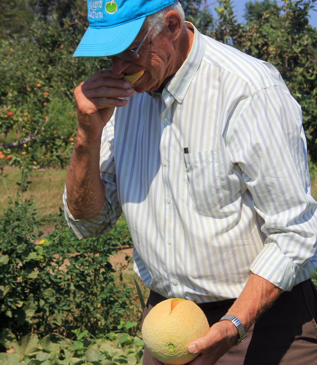 Taste-testing the melons.