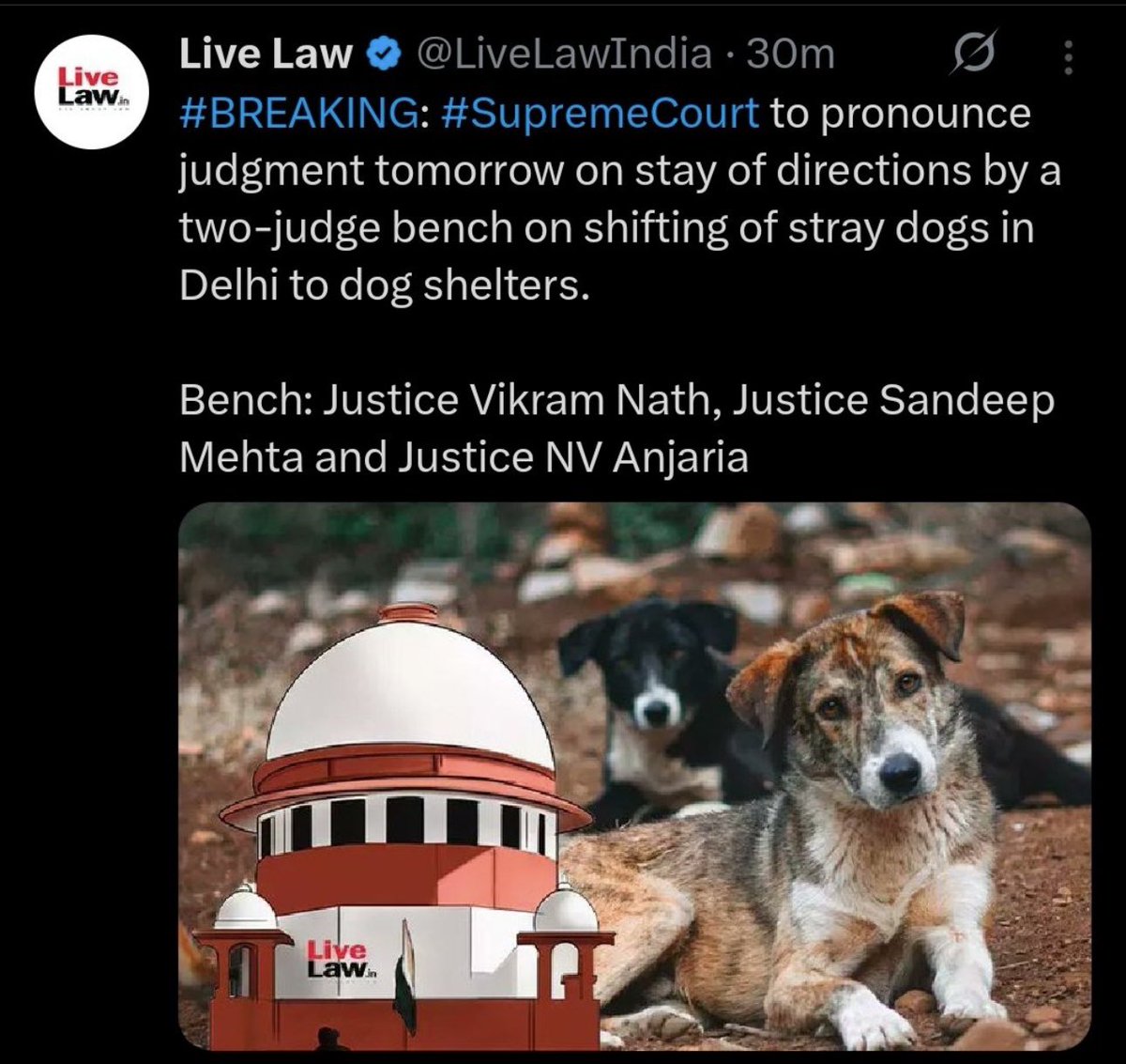 surbhirawatpfa's tweet photo. कल हमारी सुनवाई की तारीख है – ताकि निर्दोष आवारा कुत्तों को उनके मूल स्थान से हटाने पर रोक (Stay Order) मिल सके।
इन मासूमों को चाहिए टीकाकरण, नसबंदी और करुणा – न कि विस्थापन। @Manekagandhibjp @gauri_maulekhi  @pfaindia https://t.co/aO97idhDwl