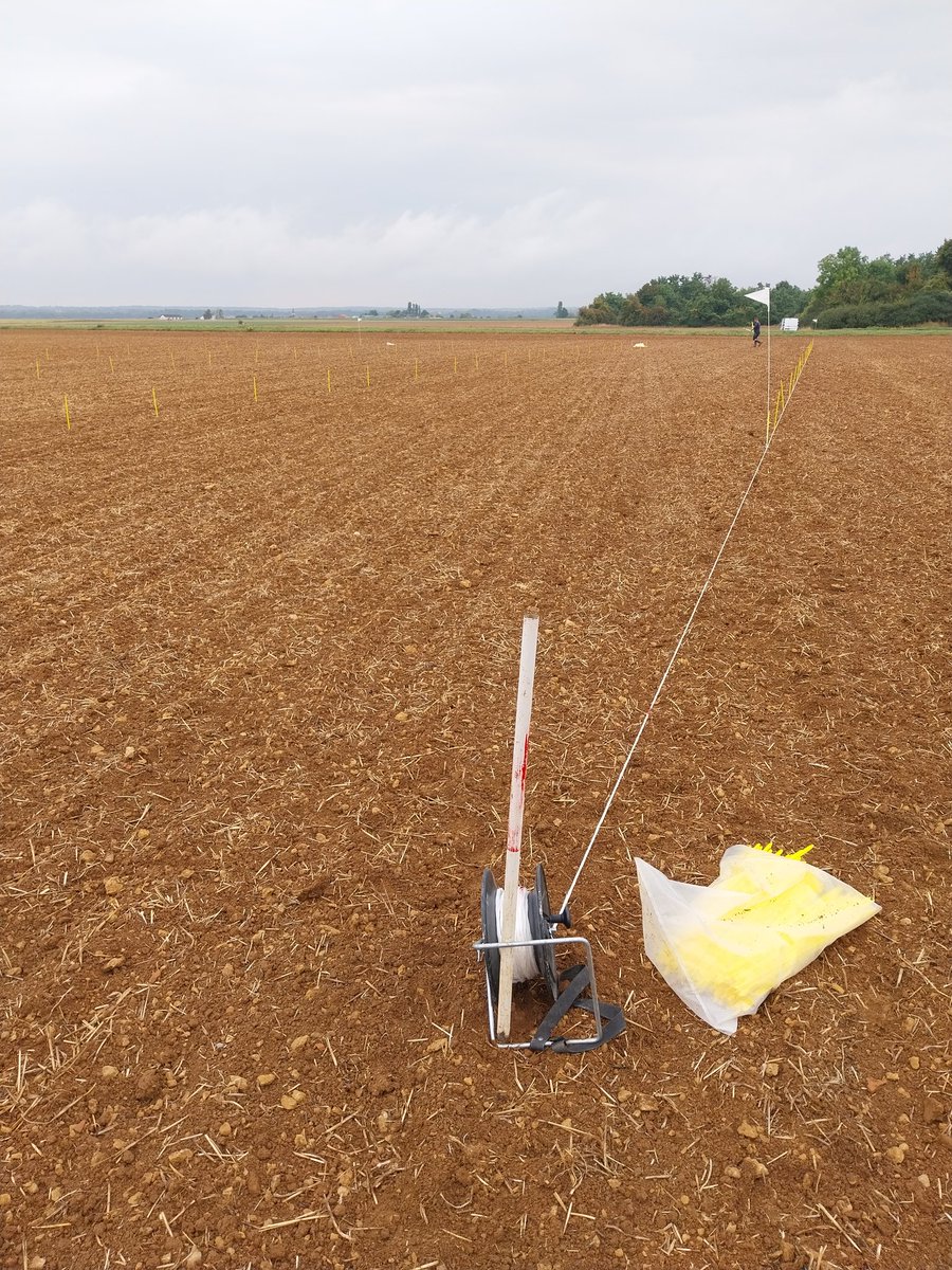 Olivier Mangenot Terres Inovia tweet media