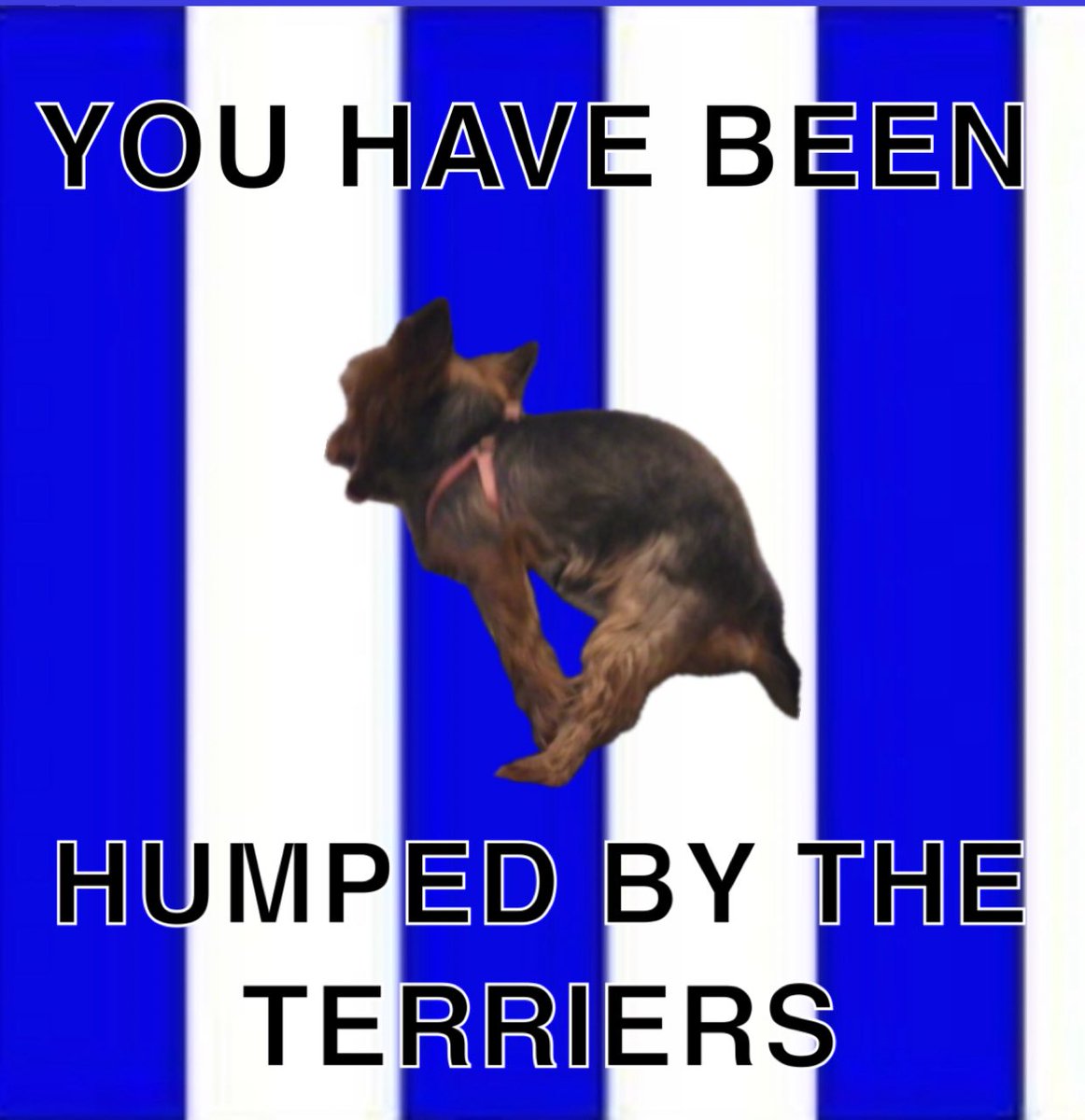 I prefer this #htafc