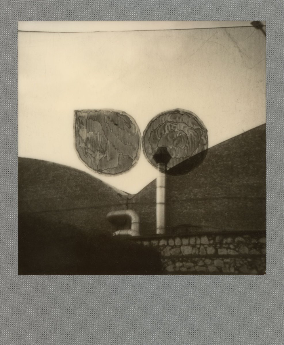 TEMPEPORARY 
A long experiment about <a href="/opepenedition/">◶◶*</a>

Waiting for Phase II, in the meantime...

Phase I  
Edition Size 10 "Urban Shades of Grey"
#4

Digital scanned Polaroid, no postproduction applied. 
In the last post, the link to the complete guide 

A thread 🧵