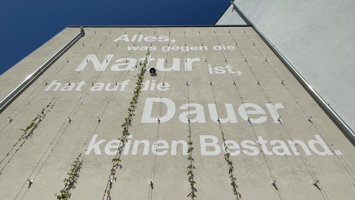 matthias_braun's tweet photo. #matthiasbraun #contemporaryart #contemporaryartist #facadedesign #artinarchitecture #kunstambau #wallart #greenfacade #poetry #green #höchberg #ernstkeilschule #grünfassade #architecture #fassadengestaltung #nature #charlesdarwin #wallinstallation #wandinstallation https://t.co/SVb9pEOPnq