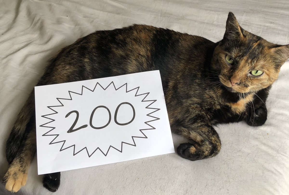 200 frens!!! Purring over lots of engagement on my favorite tweets and seeing all my lovely kitty frens on here! Thank you so much for welcoming me into the #catsoftwitter #catsofX community!