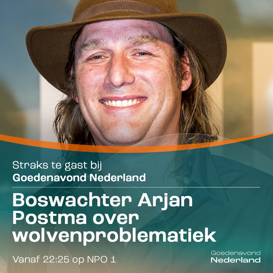 WNL Vandaag tweet media