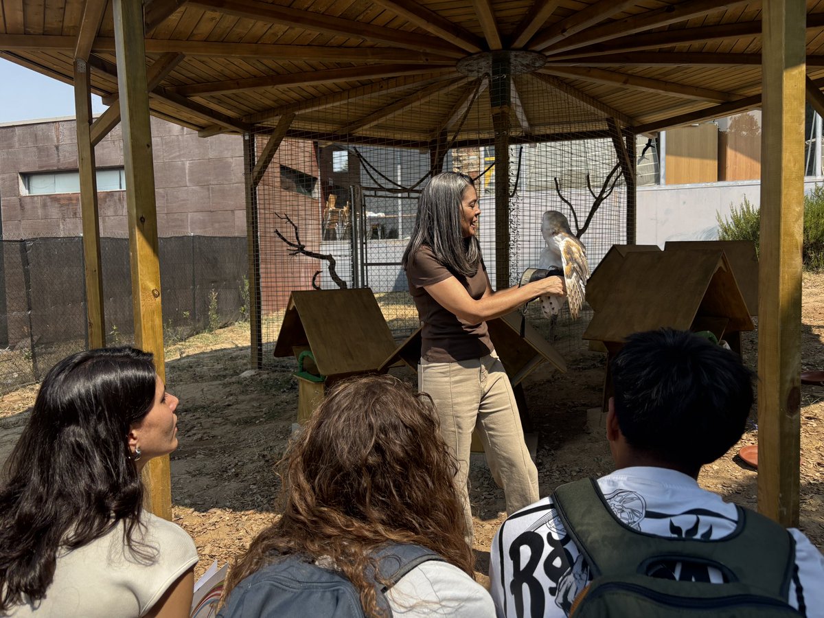 IJEXtremadura (@ijextremadura) on Twitter photo #geoparques es un nuevo #campovoluntariado incluido en programación de #veranoijex
Jóvenes de toda 🇪🇸 han trabajado en medio ambiente ☘️🐿️ y patrimonio en <a href="/VilluercasGPark/">Villuercas-Ibores-Jara Geoparque Mundial UNESCO</a>
Hoy Raquel Martín les ha acompañado en Centro conservación de fauna #loshornos
🔗 juntaex.es/w/20250821-el-… #geoparques es un nuevo #campovoluntariado incluido en programación de #veranoijex
Jóvenes de toda 🇪🇸 han trabajado en medio ambiente ☘️🐿️ y patrimonio en <a href="/VilluercasGPark/">Villuercas-Ibores-Jara Geoparque Mundial UNESCO</a>
Hoy Raquel Martín les ha acompañado en Centro conservación de fauna #loshornos
🔗 juntaex.es/w/20250821-el-…