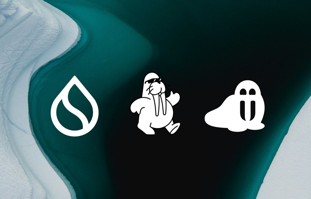 Sui is the CPU. 
Walrus the hard drive. 
Tusky is that killer app.