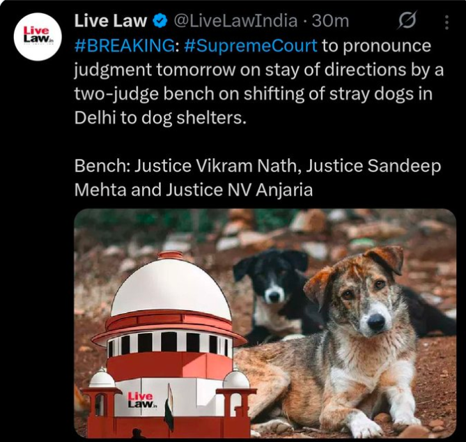 TheViditsharma's tweet photo. Tomorrow, the Court will speak — but what it pronounces will not just be a legal judgment, it will be a defining moment for us as a civilisation.

How we treat the most voiceless and vulnerable reflects who we are as humans. These innocent souls, who cannot speak for themselves, place their trust in us. It is our duty, our dharma, to ensure that mercy, compassion, and science guide the path of justice.

We appeal to the conscience of the nation — let us rise above cruelty, let us stand together for those who cannot defend themselves.

With folded hands, we pray to Lord Mahadev to bless these voiceless souls with justice, to give strength to those fighting for them, and to awaken compassion in every heart.

May tomorrow’s judgment be remembered not only in the pages of law, but in the pages of humanity, as the day when justice, mercy, and dharma converged to protect the innocent

#dogs