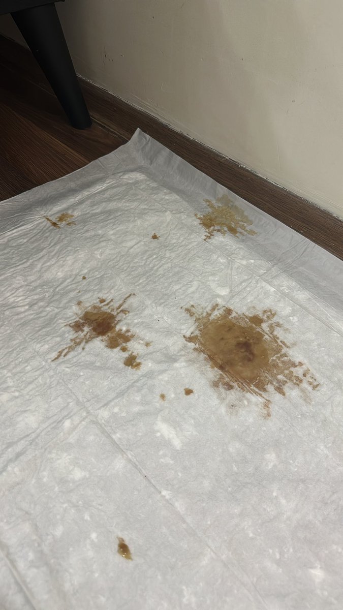 Eyüpsultan Veteriner Kliniği pansiyonunda kedim panleukopeni kaptı. Aşı sorulmadı, hijyen yok, kediler iç içe tutuluyor. Onca masrafa rağmen sorumluluk kabul edilmiyor! #HayvanHakları #VeterinerSkandalı