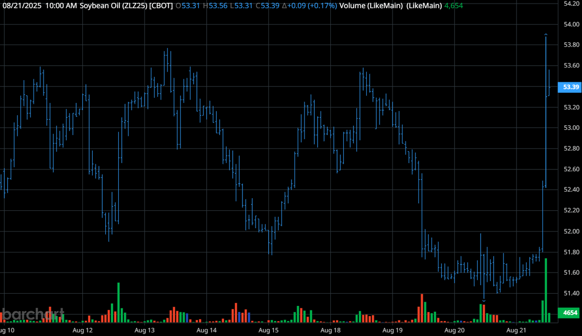 Susan Stroud tweet media