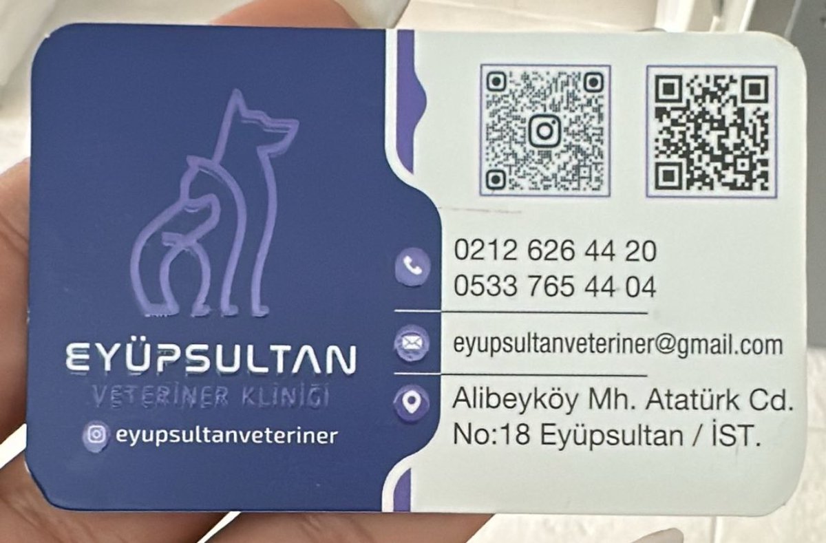 Bu ihmal ve sorumsuzluk kabul edilemez! Kediler hijyensiz, iç içe tutuluyor; aşı sorgusu yok. İşletme sorumluluk üstlenmiyor. Böyle bir pansiyon derhal kapatılmalı, hayvanların can güvenliği tehlikede