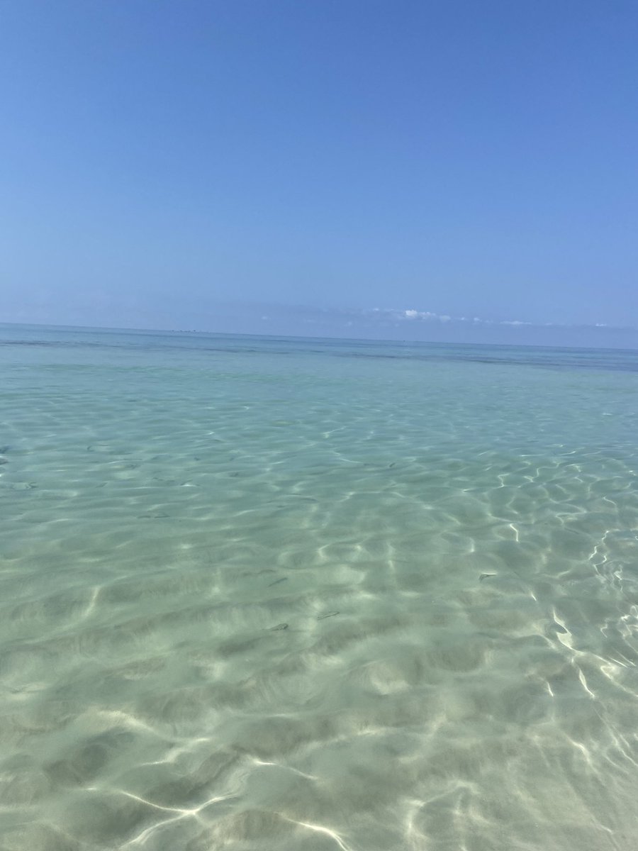 carol robinson tweet media