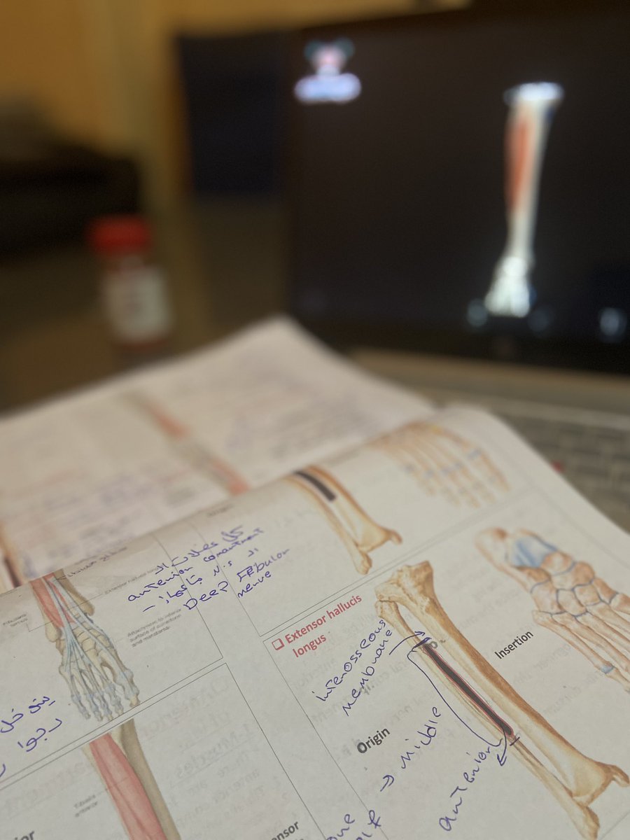 او تسألوني بكره ايه هقولكم بكره الاناتومي