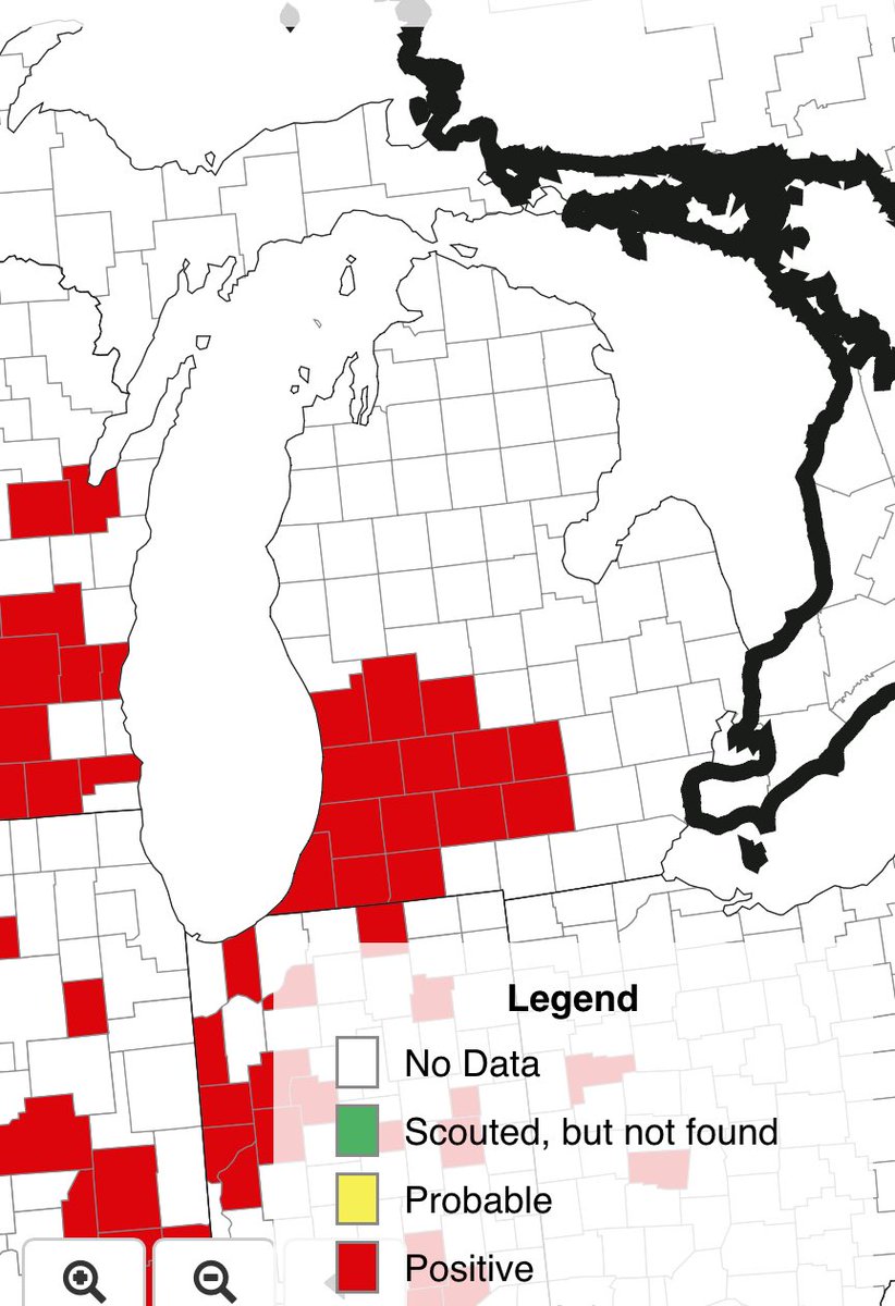 Martin Chilvers tweet media