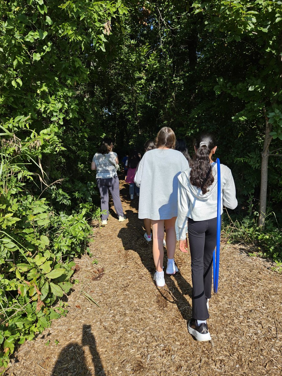 Exploring nature <a href="/AllenSTEAM/">Allen STEAM Center</a> <a href="/StoryFalcons/">Story Falcons</a>